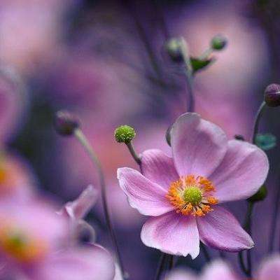 华体会登录手机版下载手机版